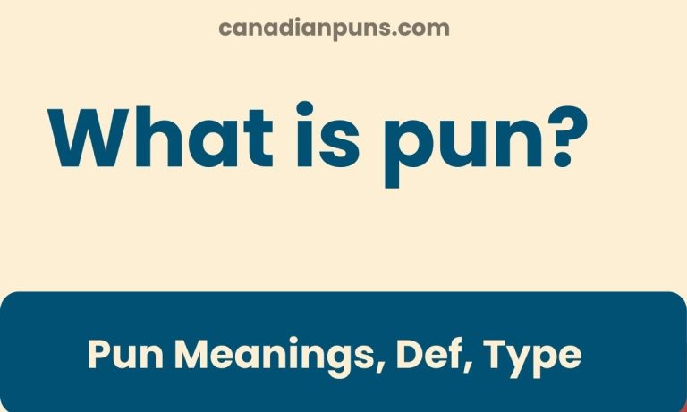 pun meaning, types examples